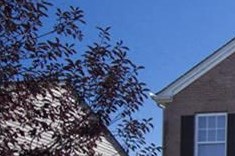 2627 Myrtle Ln. Burlington, KY 41005